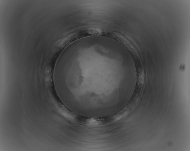 X0000094900616200711291234