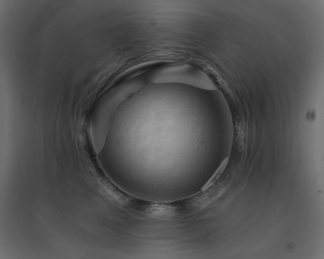 X0000094900617200711291234
