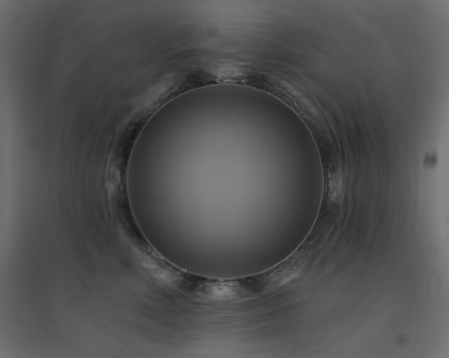 X0000094900618200711291234