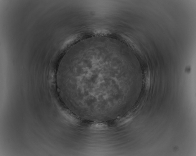 X0000094900619200711291234