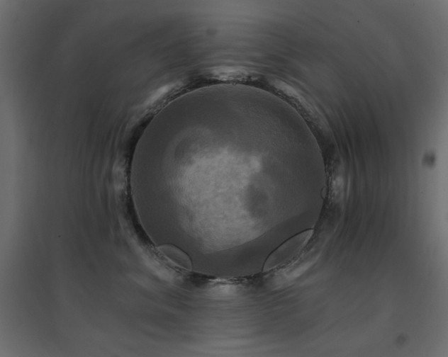 X0000094900620200711291234