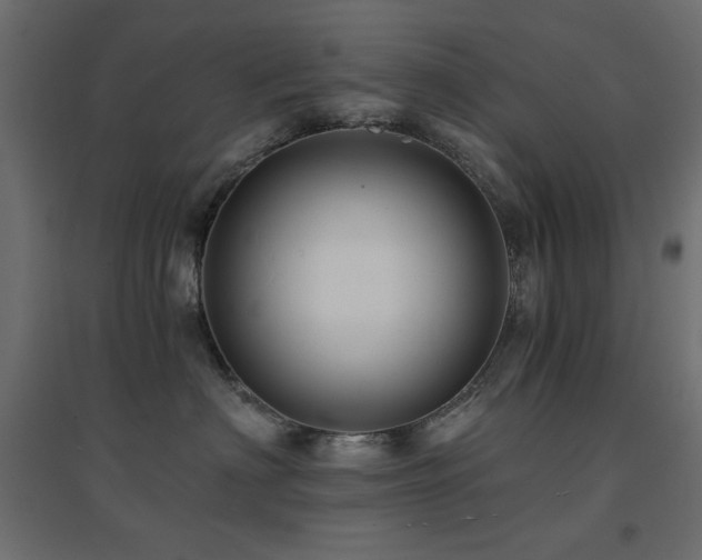 X0000094900622200711291234
