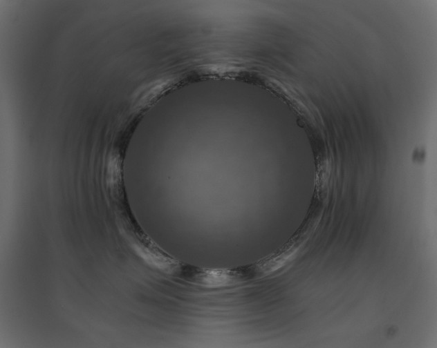 X0000094900623200711291234