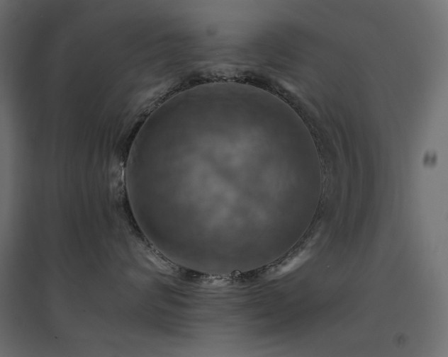 X0000094900624200711291234