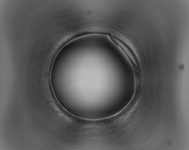 X0000094900625200711291233