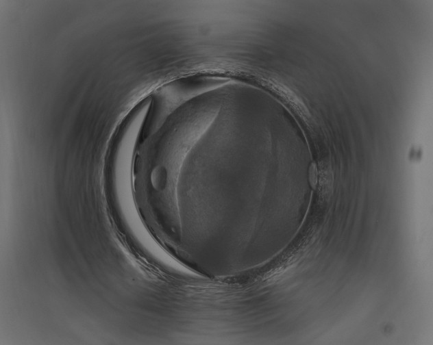 X0000094900626200711291233
