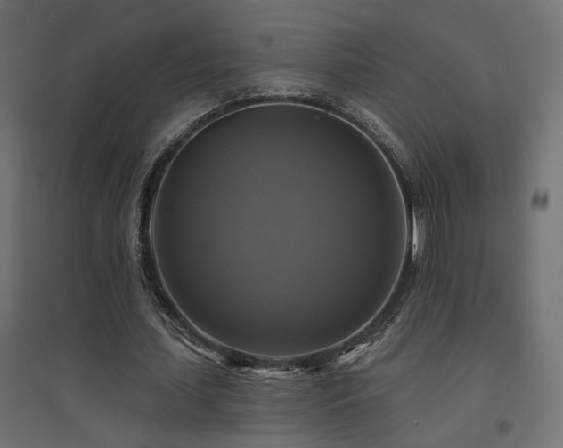 X0000094900627200711291233