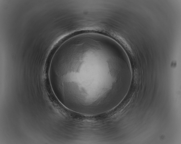 X0000094900628200711291233
