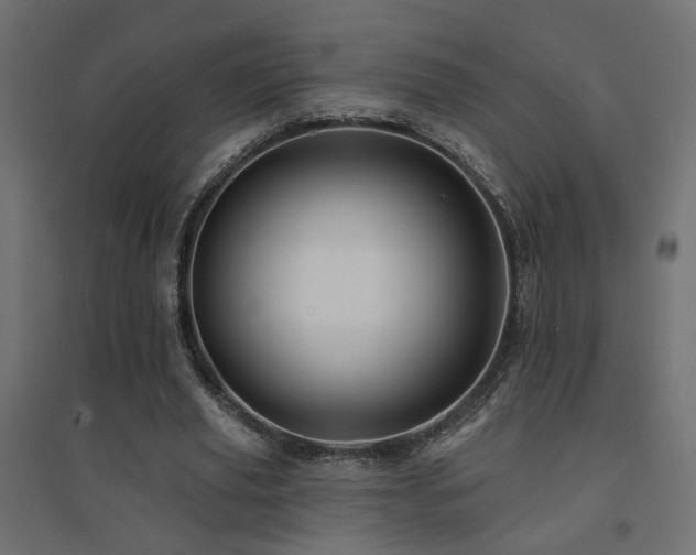 X0000094900629200711291233