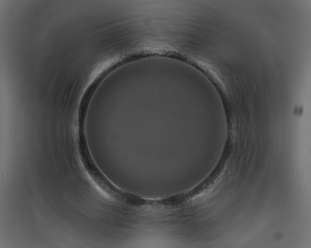 X0000094900630200711291233