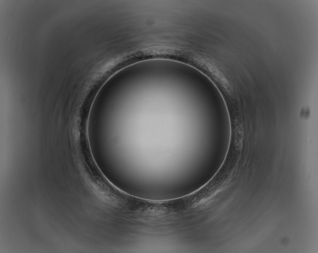 X0000094900631200711291233