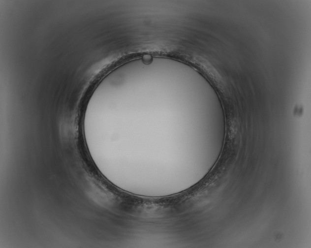 X0000094900632200711291233