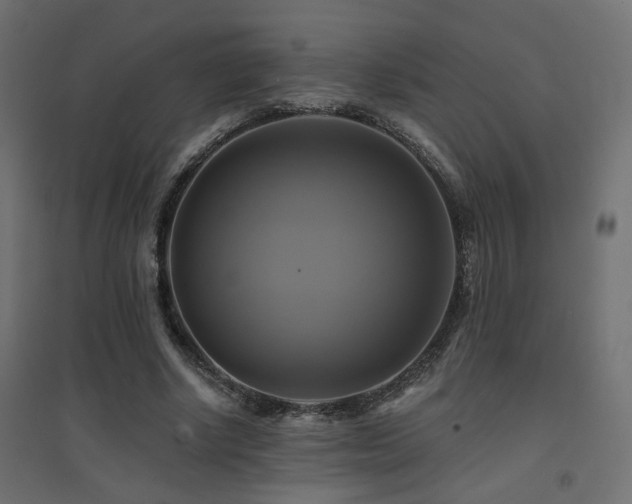 X0000094900634200711291233
