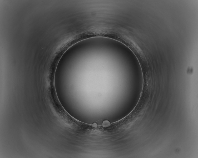 X0000094900635200711291233