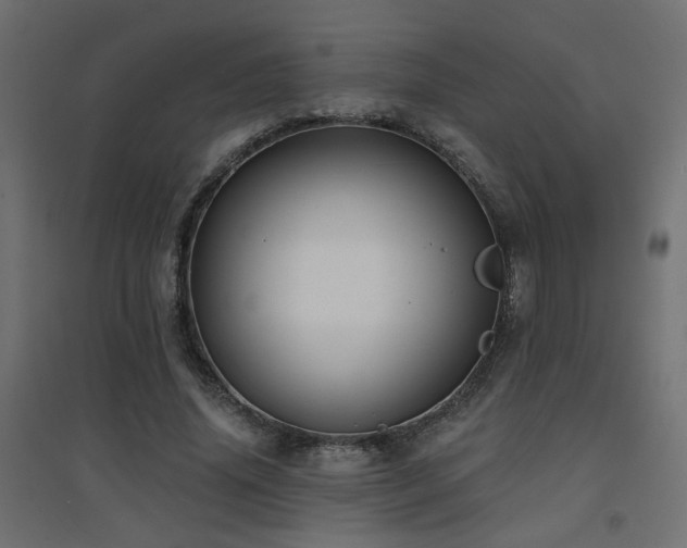 X0000094900636200711291233