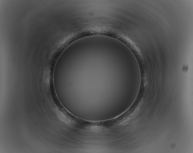X0000094900637200711291233