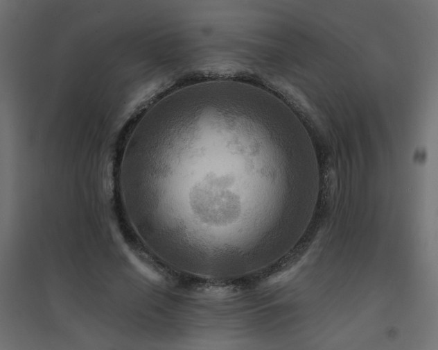 X0000094900638200711291233