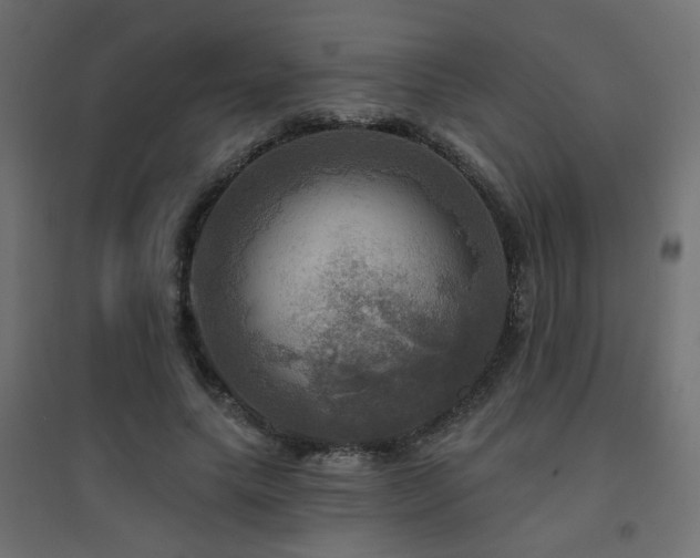 X0000094900639200711291233