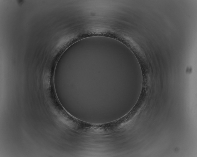 X0000094900640200711291233