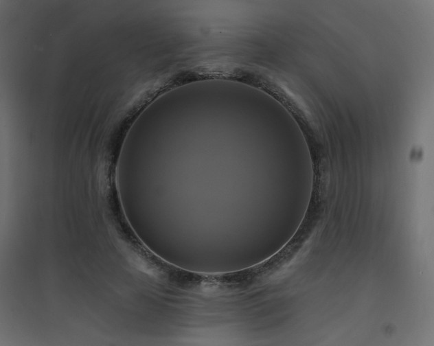 X0000094900641200711291233