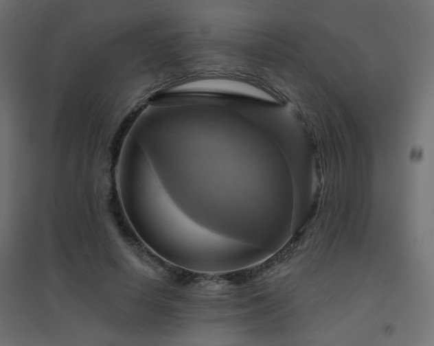 X0000094900642200711291233