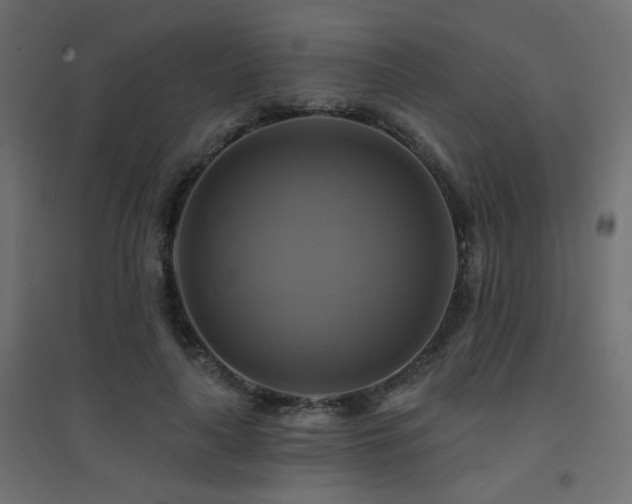 X0000094900643200711291233