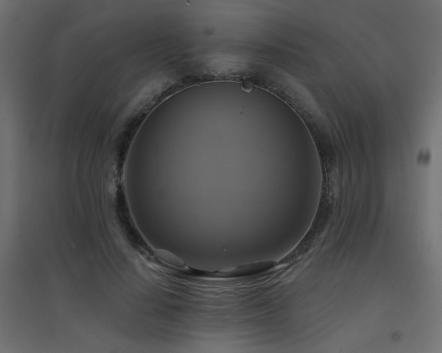 X0000094900644200711291233