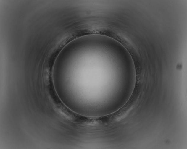 X0000094900646200711291233