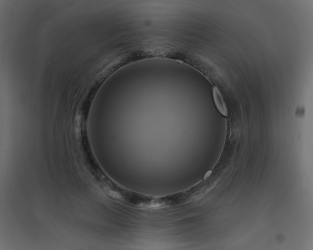 X0000094900647200711291233