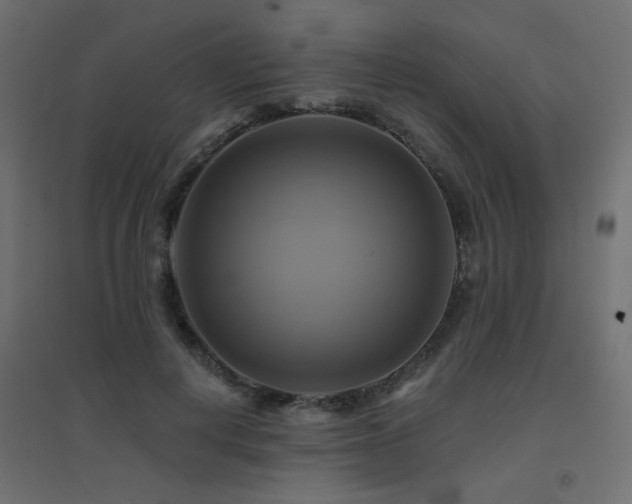 X0000094900648200711291233