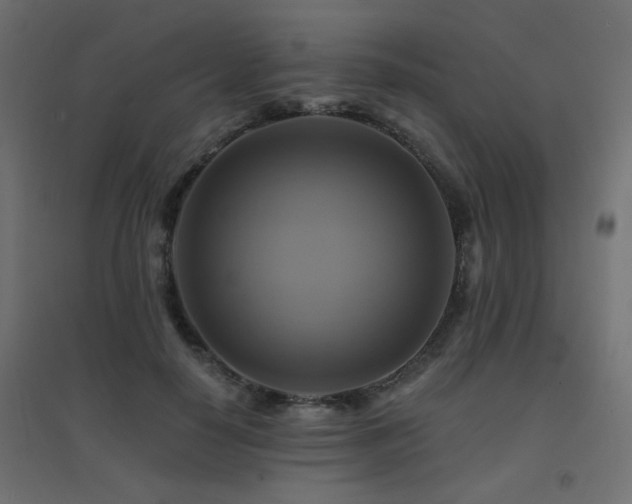 X0000094900650200711291233