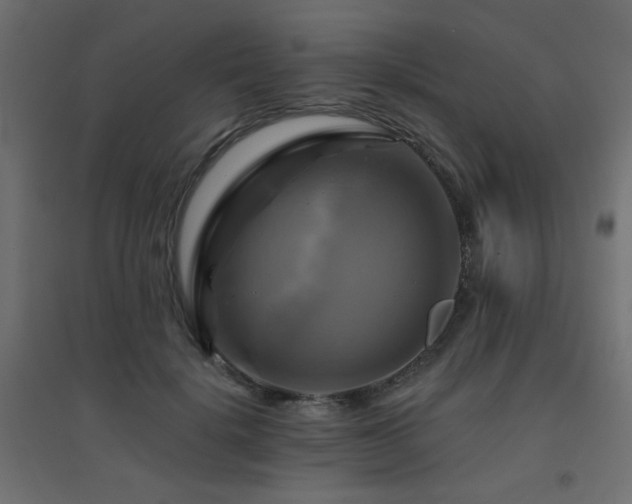 X0000094900652200711291233