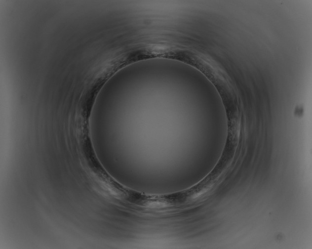 X0000094900653200711291233