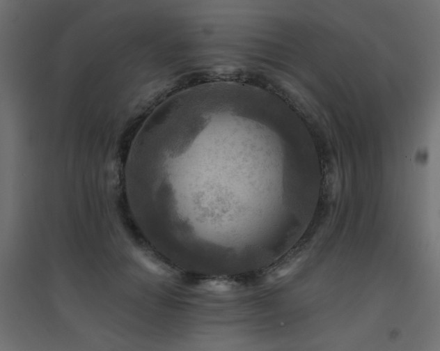 X0000094900654200711291233
