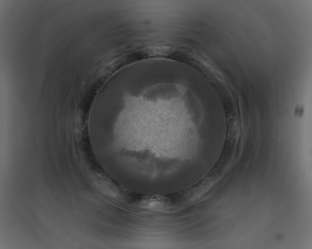 X0000094900655200711291233
