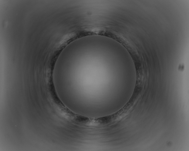 X0000094900656200711291233