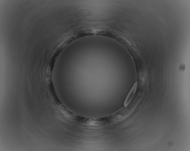 X0000094900657200711291233