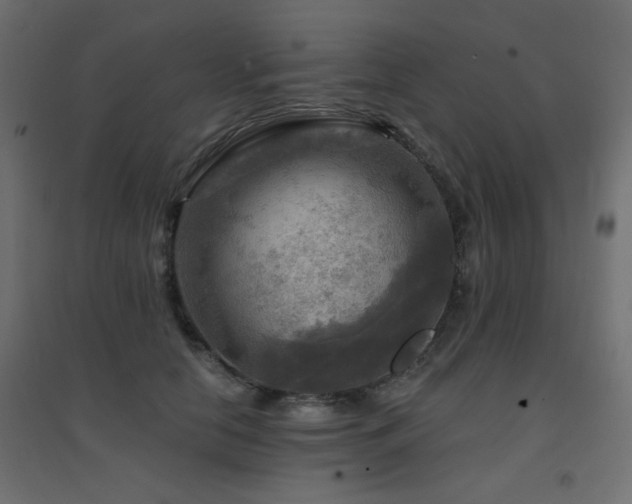 X0000094900658200711291233