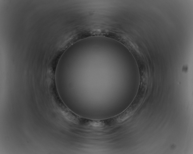 X0000094900659200711291233