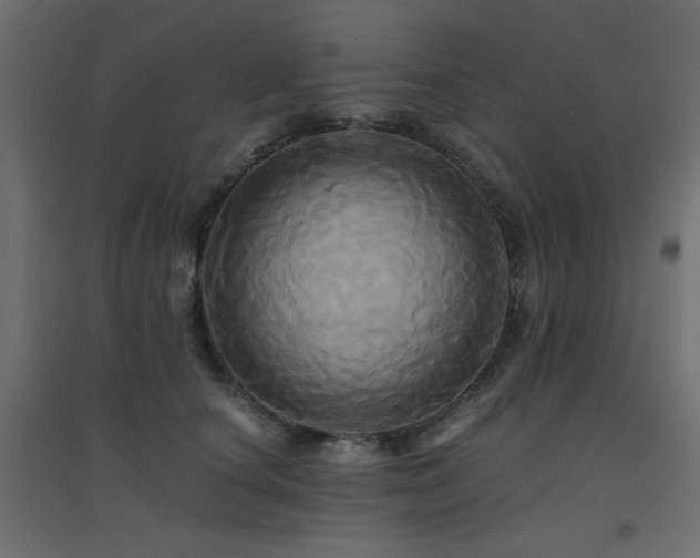 X0000094900660200711291233