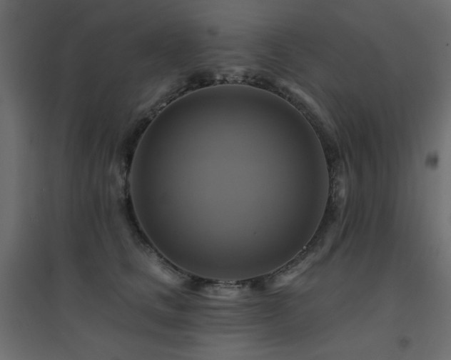 X0000094900661200711291233