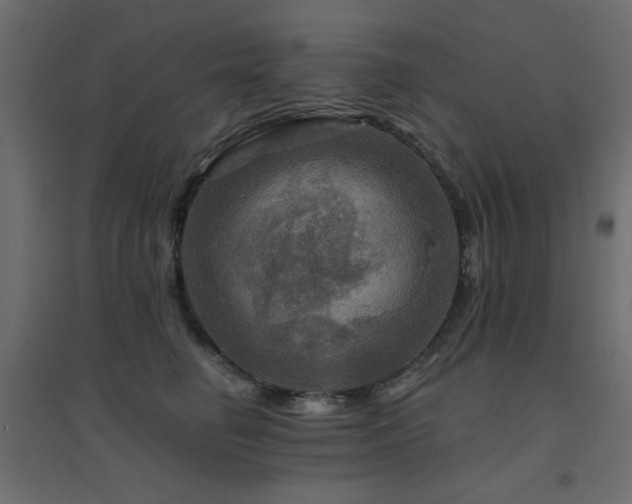 X0000094900662200711291233