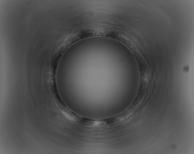 X0000094900663200711291233