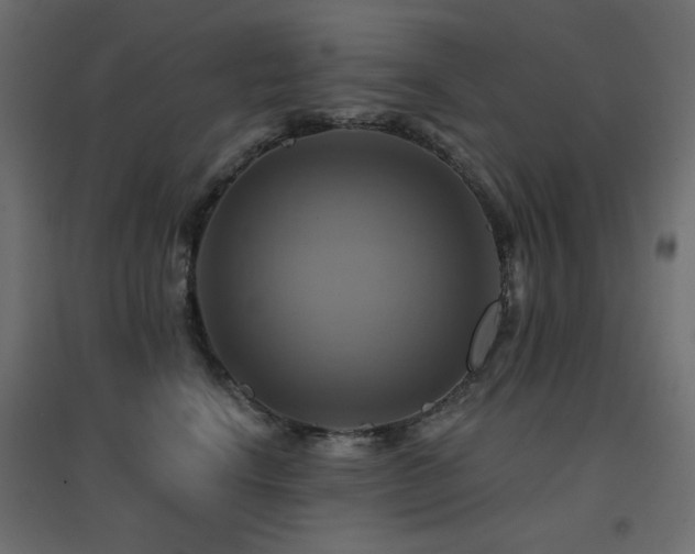 X0000094900664200711291233