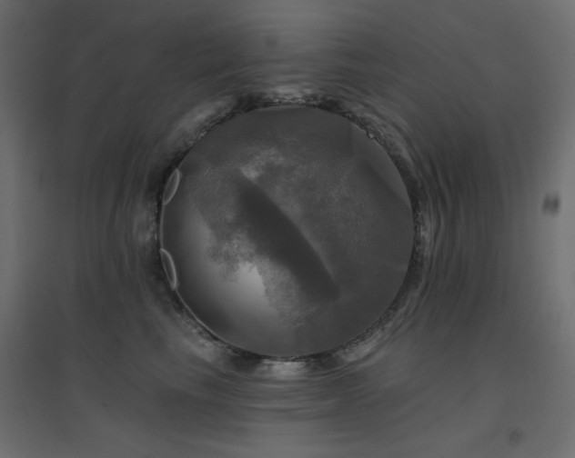X0000094900665200711291233