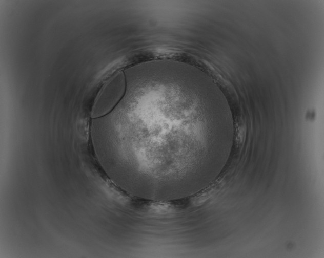 X0000094900666200711291233