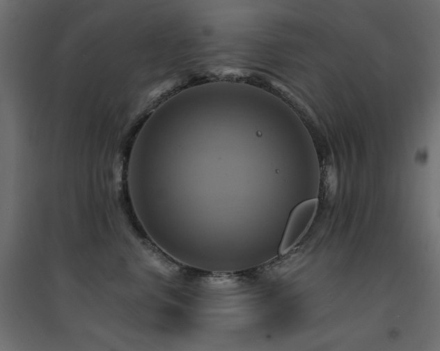 X0000094900668200711291233