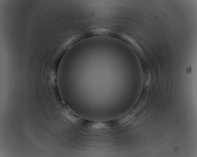 X0000094900669200711291234
