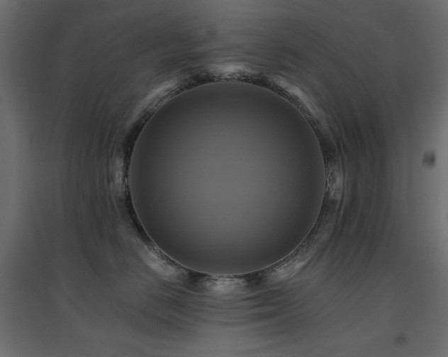 X0000094900670200711291234