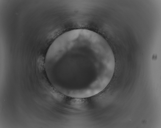 X0000094900672200711291234